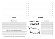 Maulwurf-Faltbuch-vierseitig-3.pdf